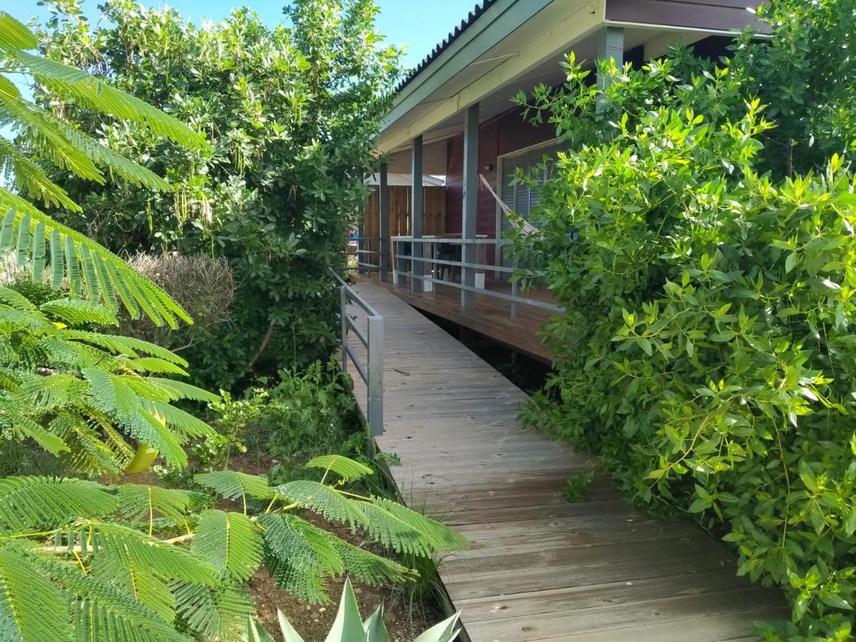 Red Palm Village Kralendijk Exterior foto